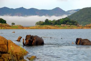 Gal-Oya-NATIONAL-PARK