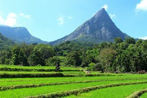 Sri-Lanka-Knuckle-Mountain-Range