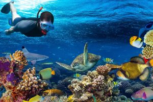 snorkel-in-cancun-tour