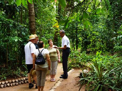 spice-garden-sri-lanka_9390